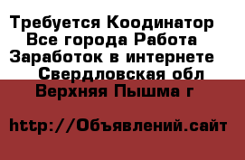 Требуется Коодинатор - Все города Работа » Заработок в интернете   . Свердловская обл.,Верхняя Пышма г.